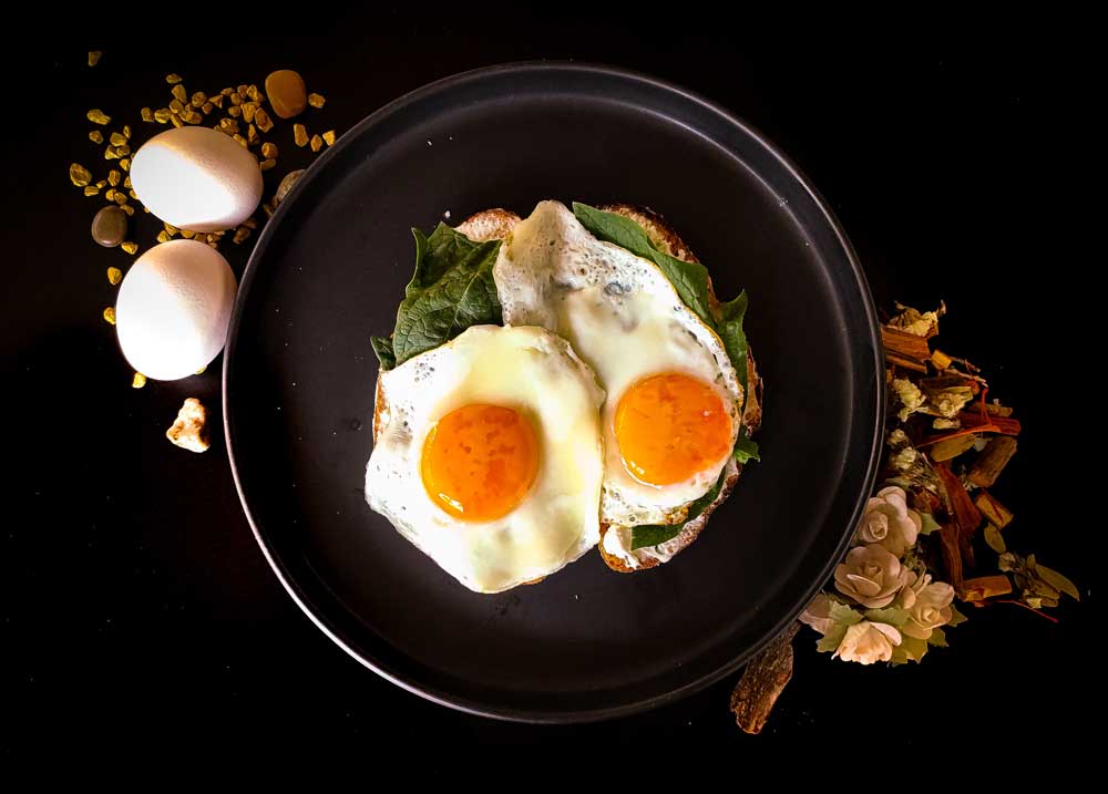 eier-als-proteinreiches-lebensmittel eier als proteinreiches lebensmittel