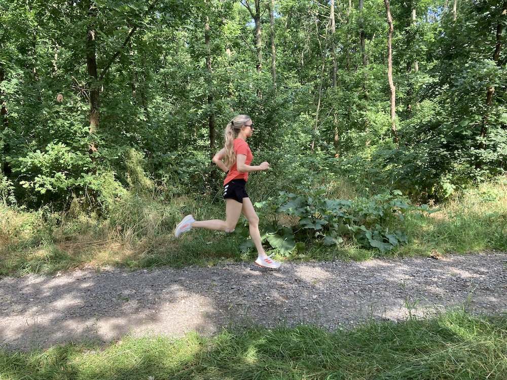 adidas TERREX Agravic Speed Ultra im Test