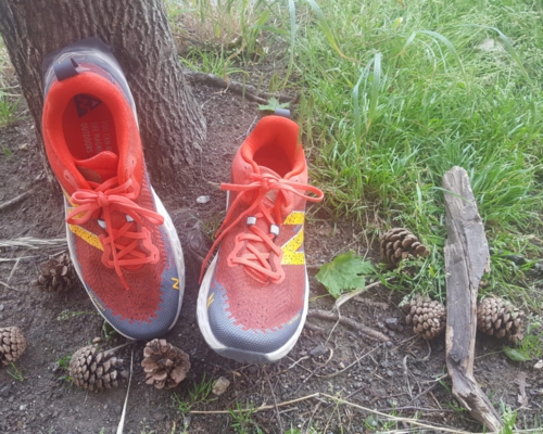 Trailrunning Schuh von New Balance steht vor einem Baum
