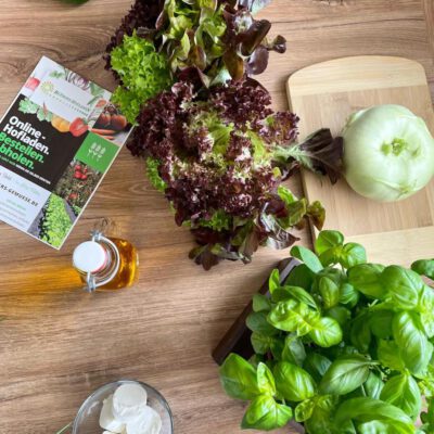 kohlrabi ist ein tolles gemüse