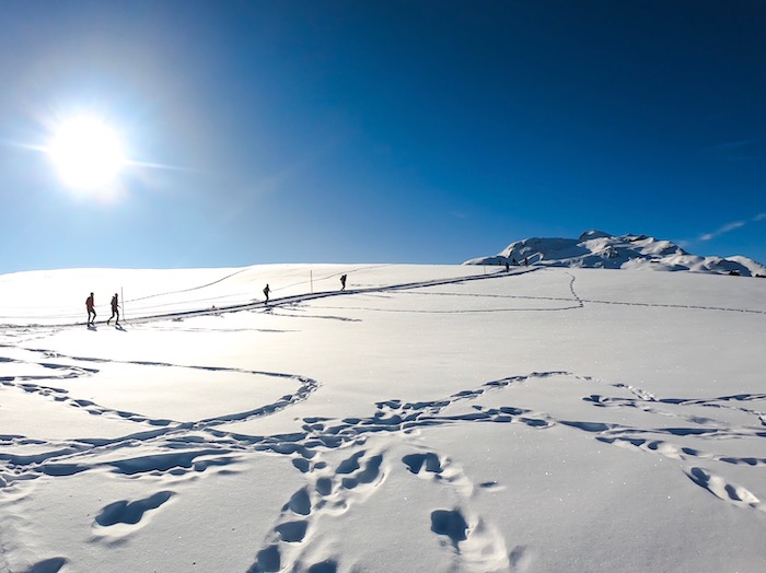 swiss-snow-walk-run-ein-wintertraum